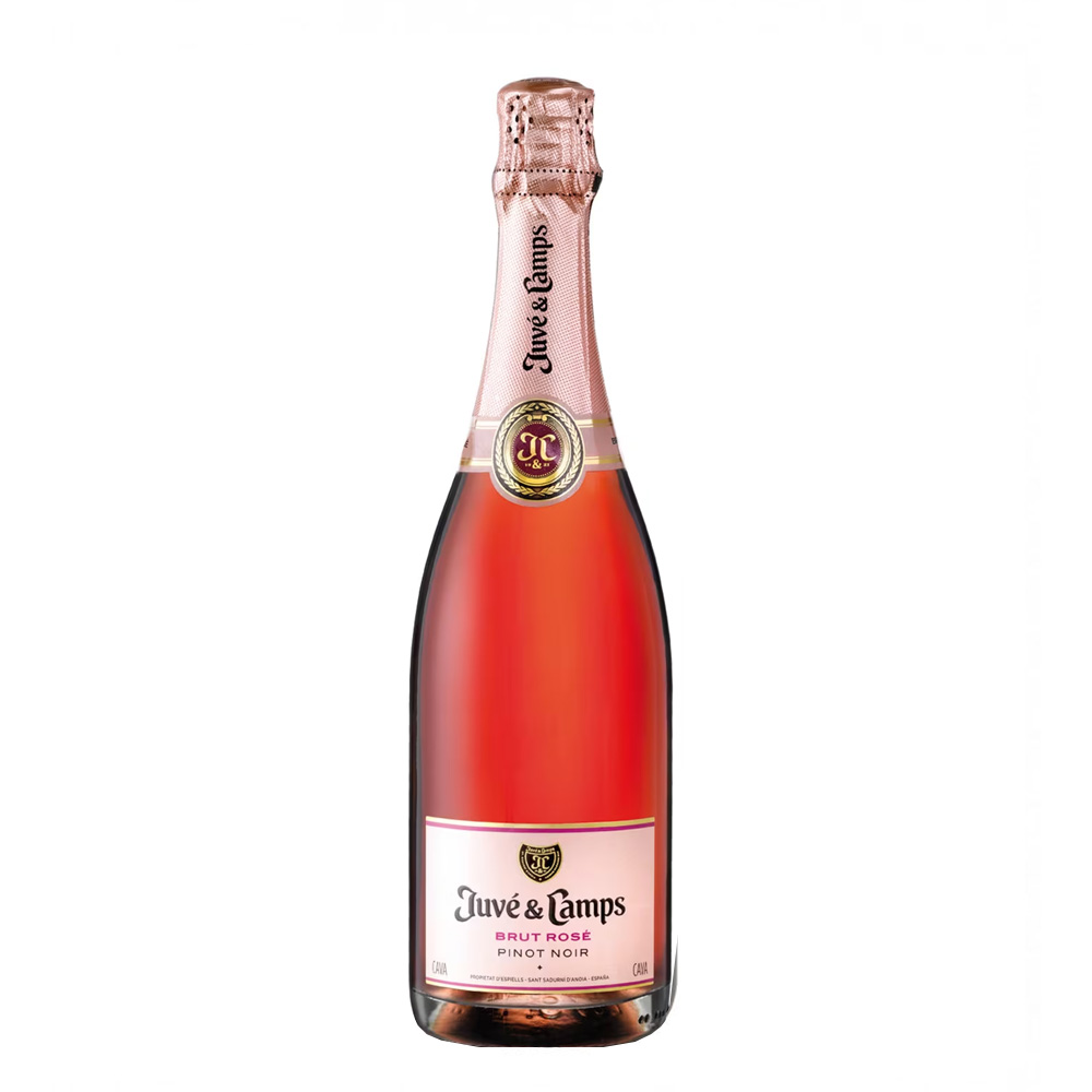Juvé y Camps Brut Rosé Pinot Noir