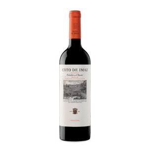 Coto de Imaz Reserva 2019