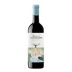 Raíces de Valparaíso 2021