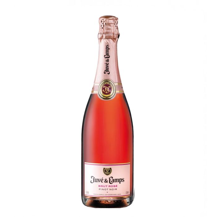 Juvé y Camps Brut Rosé Pinot Noir
