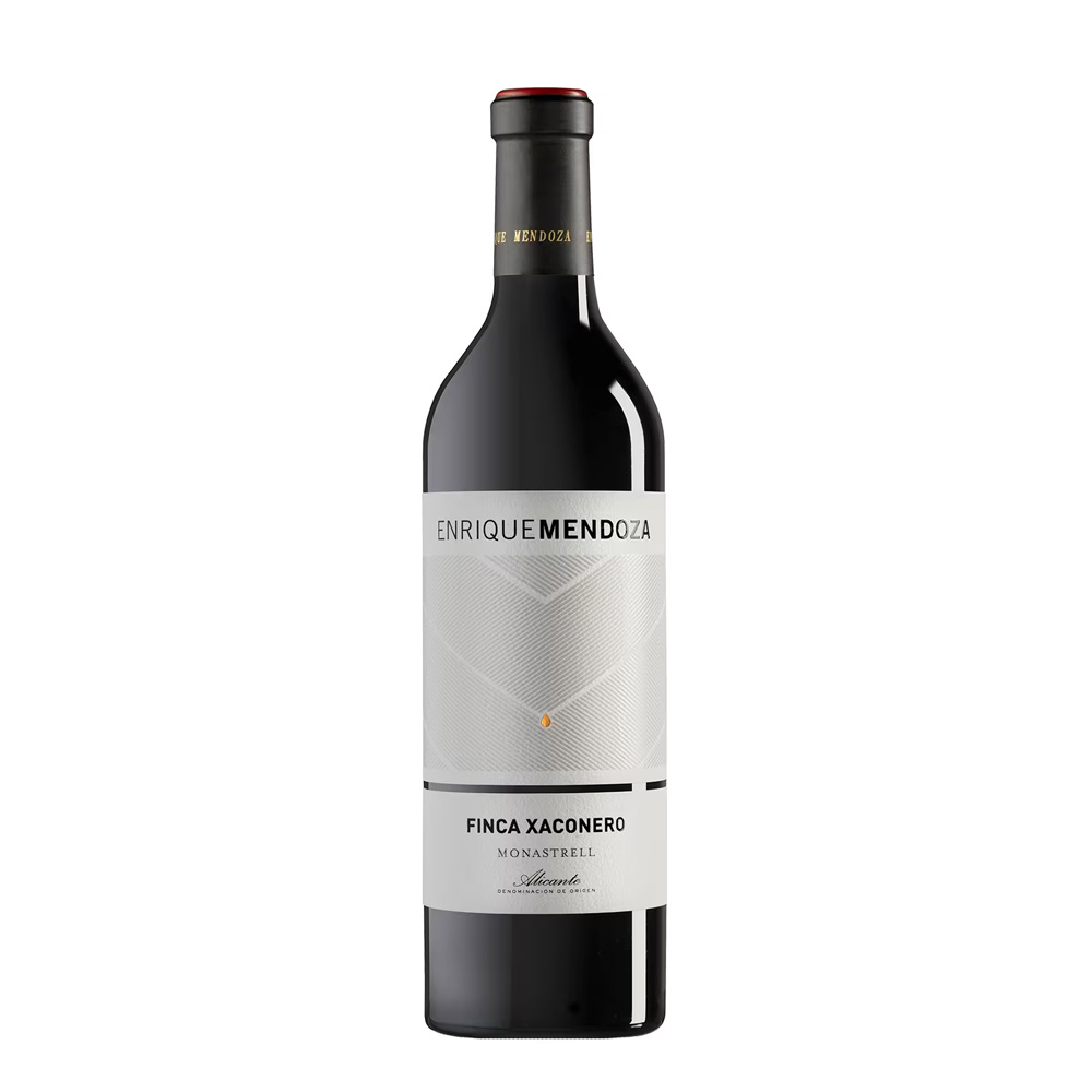 Enrique Mendoza Finca Xaconero 2022