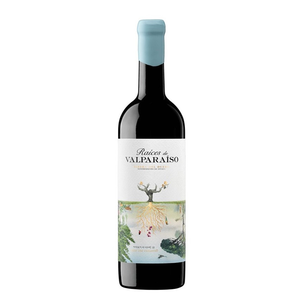 Raíces de Valparaíso 2021